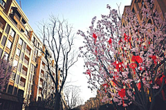Re~member采集到发布会