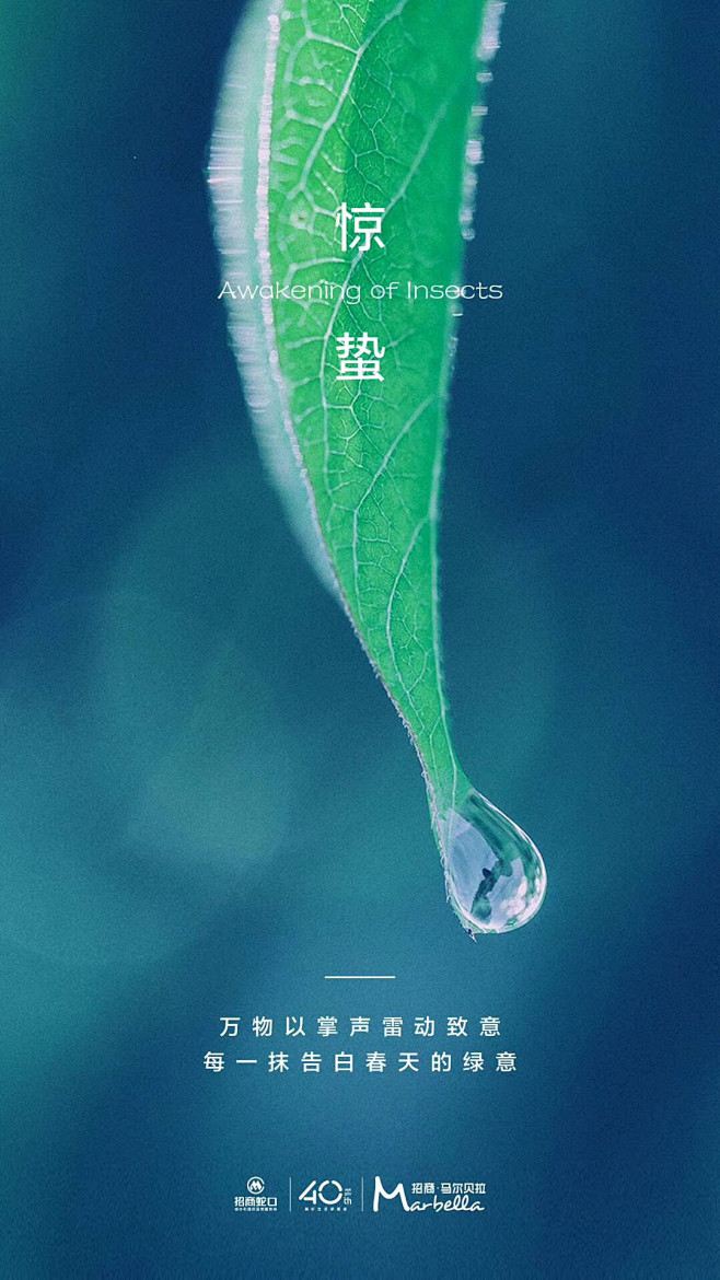 惊蛰 地产