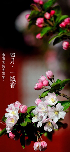 熙鲤覼采集到照片