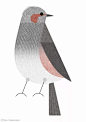 寻找东京中城的鸟-武政谅（日本） : 「The Bird Handbook」是日本插画师武政谅为东京中城制作的一个鸟的宣传册，鼓励大家去找寻中城附近公园出现的这些鸟，开启一段寻鸟之旅 。在这个册子上他用色块加线条的方式描绘了25种鸟，其简洁的手法将每一种鸟的形态勾勒得淋漓尽致。
