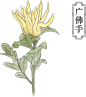 yc4.png (38.6 KB,377*424)