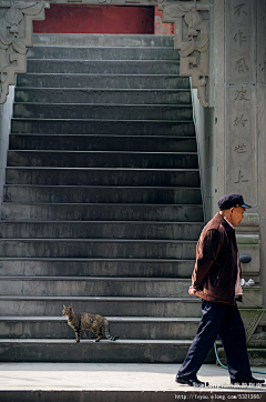 Lizihuli1采集到【两座寺庙】, 养龙旅游