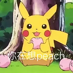 自制杰尼龟表情包（含凑数的其他小精灵）