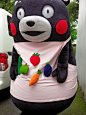 #熊本熊# #kumamon#