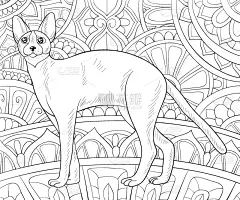 可爱的,猫,成年的,华丽的,农场,洋葱花,乱画,轮廓,着色,冥想