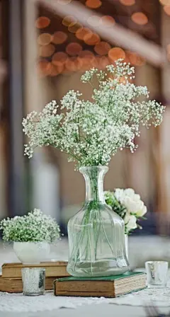 满天星#植物##壁纸##小清新##花朵#