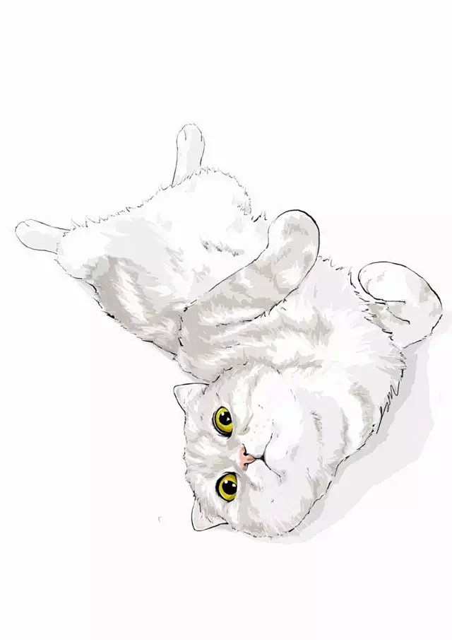  ​​​​