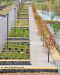 Schools experienced in doing gardens could expand expand by partnering with community members to create gardens in parks...Park space, raised beds could be used for #urbangarden / edibles.