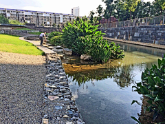 SunflowerO(∩_∩)O哈哈~采集到驳岸