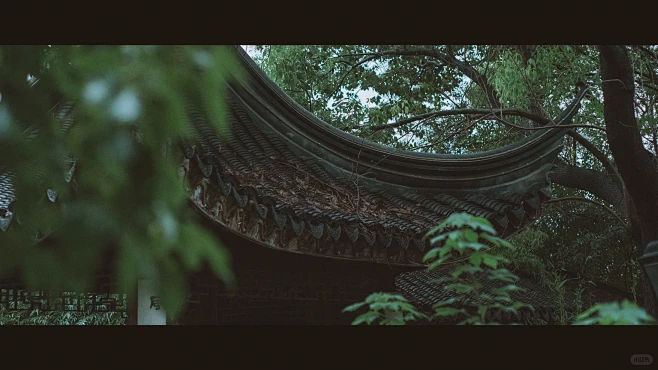 干货⚠️调色教程～如何在阴天拍摄园林