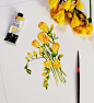 Illustrator Mina Park 미나뜨 (@minartillust)的Instagram主页 · Tofo.me · 中文Instagram网页版