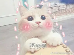 猫咪表情包_百度图片搜索