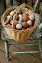 Basket of eggs | Post Cards