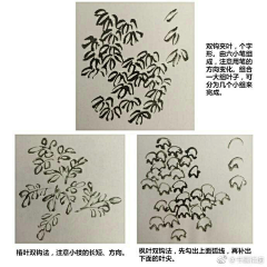 曾与吴王扫落花采集到国画技法