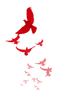 国庆素材灵感图 3