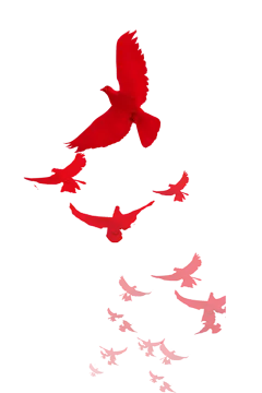 党建 少先队 红色 装饰 素材 海报@ddbbaaqq收集_花瓣 5391e039cbdef436076969e5c041d9bf0300a92b282e3-9KCrIR_fw1200_5027417279.png