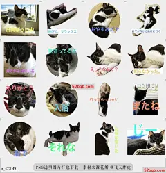 line贴图表情包Porute Stamp 3 我的名字是porute，