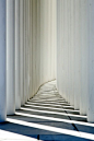 LIGHT: