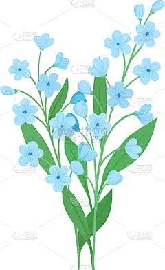 小的,勿忘我,枝,蓝色,两个物体,请柬,清新,浪漫,植物群,花