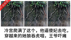松lansong采集到古代三拼