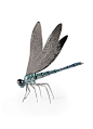 Lladro Dragonfly Figurine Dalmazio Design