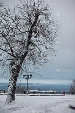 冬天的公园。下雪天