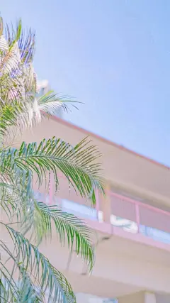 手机壁纸