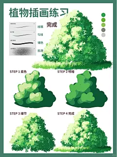 扁平风植物插画‖小树丛_1_和季画画_来自小红书网页版