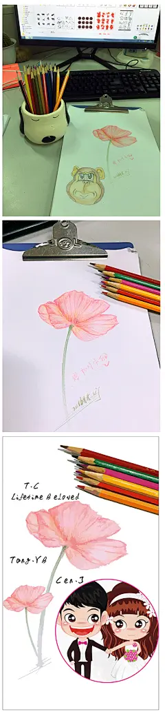 003  母亲节画朵花送给母亲+绘制自己的手机桌面