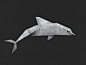 Tego dolphin