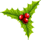 节日装饰 红色浆果 绿色 树叶 手绘 圣诞节 装饰元素免抠png图片壁纸
