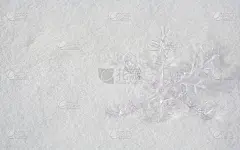雪