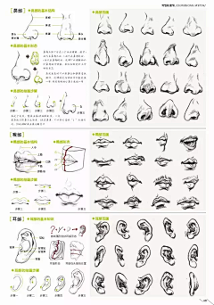 miaomiao168采集到手绘（人物）