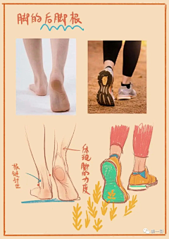 佐佐伊伊采集到手