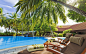 swimming pools trees wallpaper (#3028993) / Wallbase.cc
