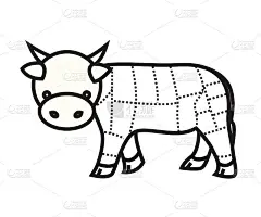 牛肉切割图表孤立在白色背景矢量