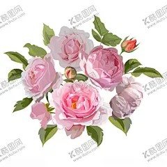 手绘花卉 【酷图网】手绘花卉,水彩花,花,花卉素材,玫瑰花,叶子,水彩叶子,树叶,手绘花朵,清新水彩,清新,矢量花,唯美,花束,花朵,植物,花卉手绘,花卉插画