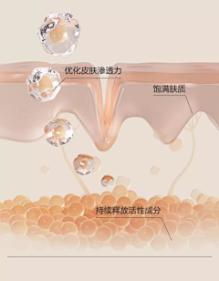 zou是邹不是走采集到【皮肤】结构