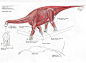 【图片】分享一些解剖参考【恐龙绘画吧】_百度贴吧