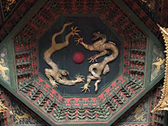 尼古拉斯苏西采集到元素--藻井