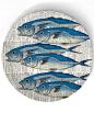 Fish  6 Fish on 10 inch Melamine Plate by TheMadPlatters on Etsy, $18.00