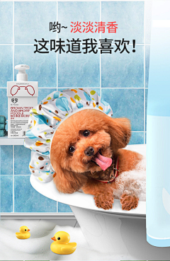 人生若芷如初见采集到宠物