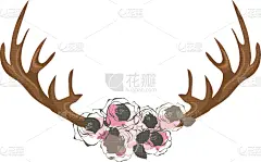 鹿角,分离着色,可爱的,自然,华丽的,图像,婚礼,花,爱,装饰