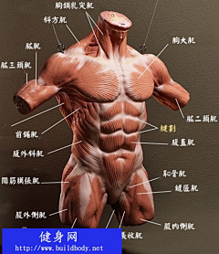 三只🐔采集到学习