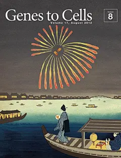 【平面】日本科学杂志《Genes to Cells》封面欣赏，让人耳目一新。