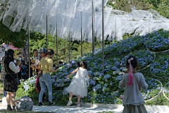 wyyi采集到展示区