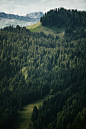 a mountain covered in lots of green trees
