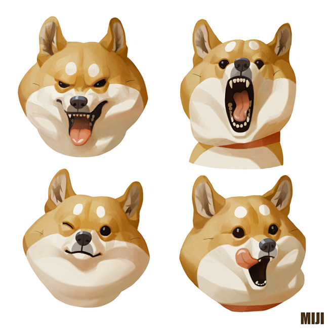 Shiba dog, miji lee ...