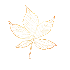 耄岁耋年采集到素材