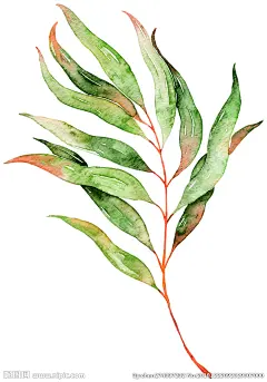 园林绿化素材